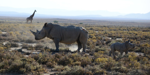 8-Day Explore North Tanzania Comfort Safari