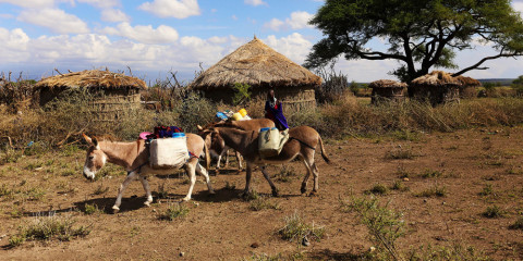 14-Day Tanzania's Grand Glamping Expedition