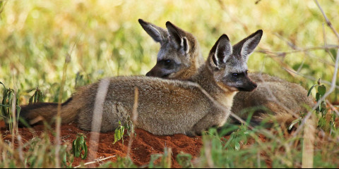 7-Day Romantic Honeymoon Glamping Adventure