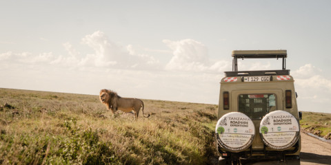 5-Day Safari Celebrate Ten Years Anniversary Tz Roadside