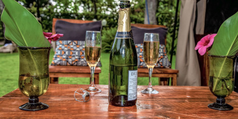 14-Day Safari Dream Tented Voyage