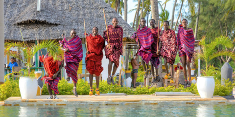 11-Day From Bush to Beach Glamping Safari