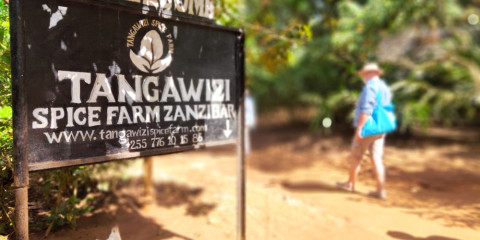 9-Day Spice Island & Safari Journey Nyerere Glamping