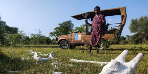 2-Day Tarangire & Lake Manyara Tented Safari