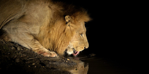 10-Day Tanzania Northern Circuit Tented Adventure