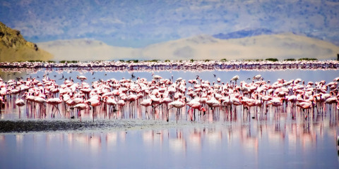 6-Day Explore the Northern Parks Safari