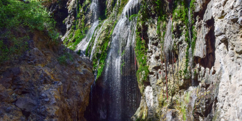 11-Day Complete Africa Comfort Safari