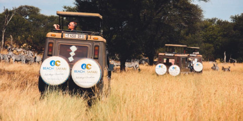 6-Day Fly-out Safari Through the Serengeti Glamping