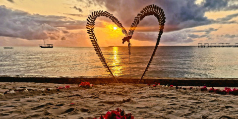 11-Day From Bush to Beach Tented Safari