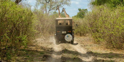 7-Day The Cradle of Nature Comfort Safari