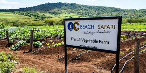 12-Day Untamed Beauty of the Serengeti Glamping