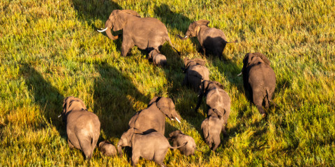 9-Day Fly-in Wildlife Paradise Glamping Journey