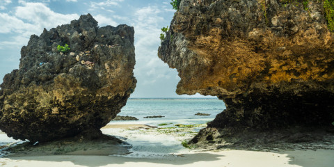 8-Day Beach & Safari Zanzibar and Lake Manyara Comfort