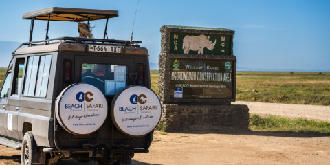 7-Day Northern Parks Comfort Safari