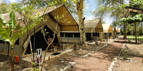 14-Day Safari Dream Comfort Voyage