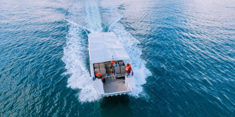 8-Day Beach & Safari Zanzibar and Serengeti Glamping