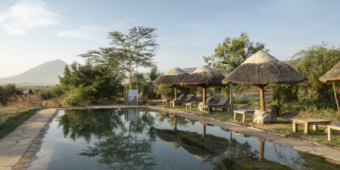 9-Day Tanzanian Elephants to Flamingos Comfort