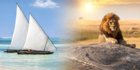 8-Day Beach & Safari Zanzibar and Lake Manyara Glamping