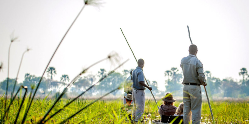 Best Time To Visit Okavango Delta (Month by Month)