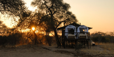 2-Day Jozibanini Tented Camp