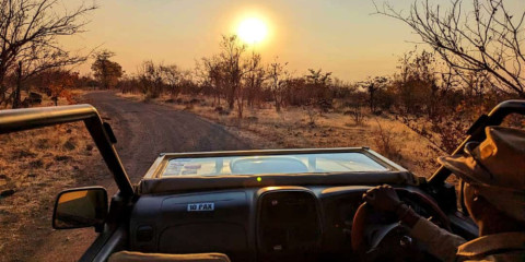 ½-Day Safari Game Drive in National Park, 3 Hours