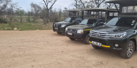 ½-Day Private Kruger National Park Open-Vehicle Safari