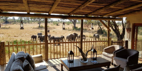 safari ride in africa