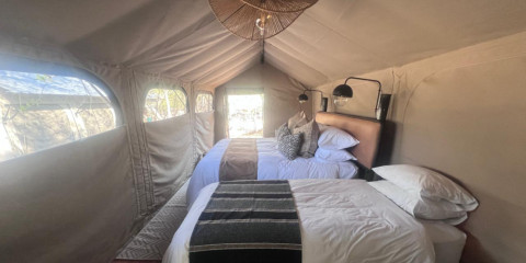 5-Day Greater Kruger Comfort Glamping Experience