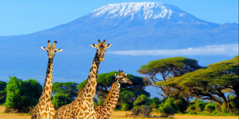 7-Day Highlights of Kenya