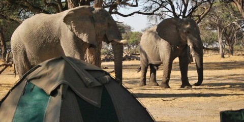 7-Day Okavango Highlights Group Mobile Safari