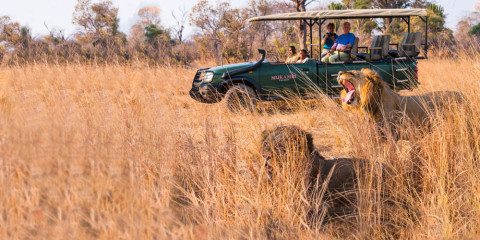 8-Day Guided Kafue Safari Adventure