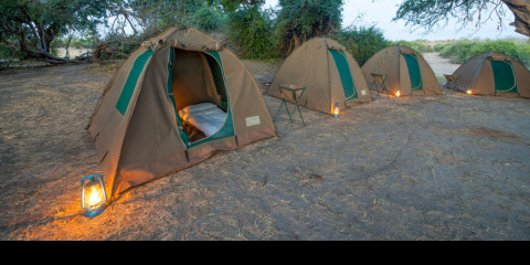 chobe safari in