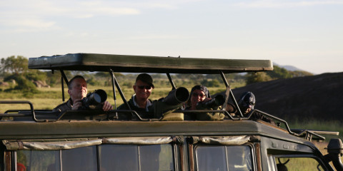 7-Day Amboseli NP, L Nakuru NP, Masai Mara NR Midrange