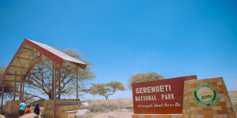 7-Day Guided Tanzania Safari