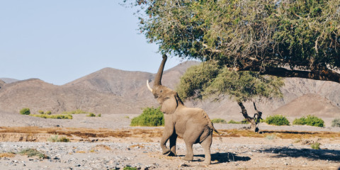 15-Day Eco-Friendly Namibian Self-Drive Safari