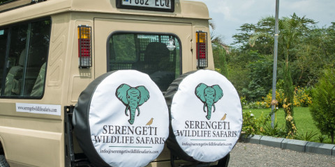 6-Day Fly in Migration from Dar Es Salaam to Serengeti