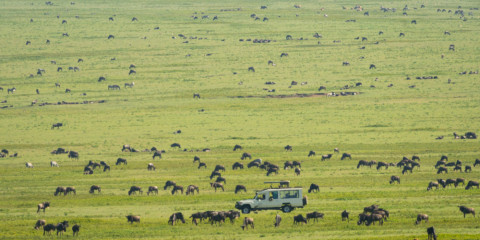 5-Day Tanzania Great Migration Safari - River Crossing