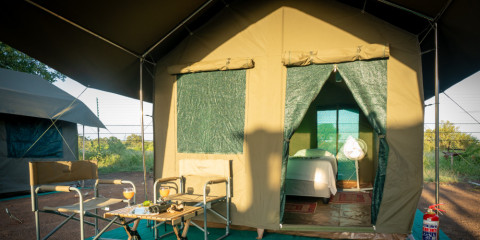5-Day Tented Safari with Greater Kruger Experience