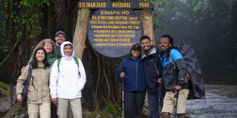 1-Day Hike Mount Kilimanjaro via Shira Route View Peak