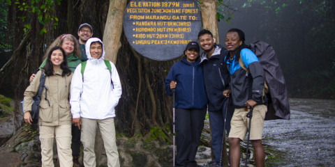 1-Day Hike Mount Kilimanjaro via Shira Route View Peak