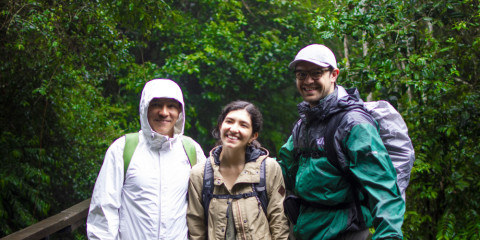 7-Day Machame Route Best Mt Kilimanjaro Trek