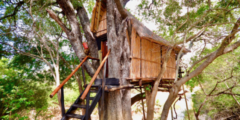 4-Day Tremisana/Treehouse Kruger Park Safari