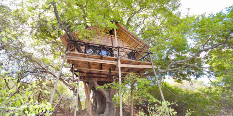 6-Day Tremisana/Treehouse Kruger Park Safari