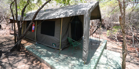 4-Day Tremisana/Tent Kruger Park Safari