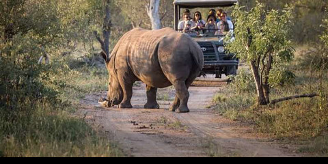 5-Day Kruger Park and Panorama Adventure Safari
