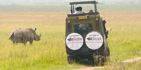 1-Day Akagera Private Safari with Lunch and Breakfast