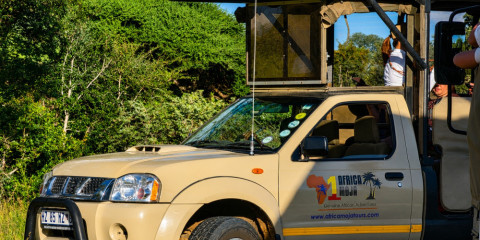 3-Day Kruger Safari from Johannesburg