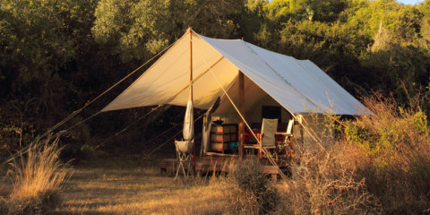 3-Day Eastern Cape Safari with Quatermain's Camp
