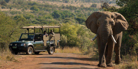 3-Day Bakubung Pilanesberg All Inclusive Big 5 Safari