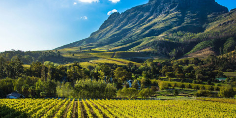 1-Day Exploring the Cape Winelands Tour